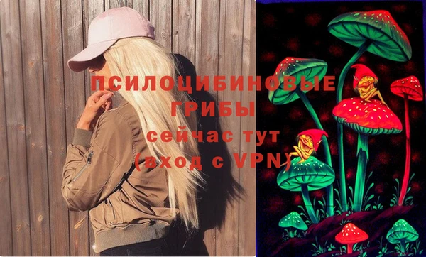 мдма Богданович