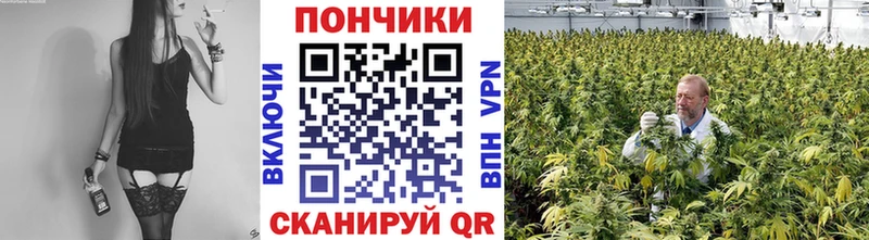 Канабис план  Хабаровск 